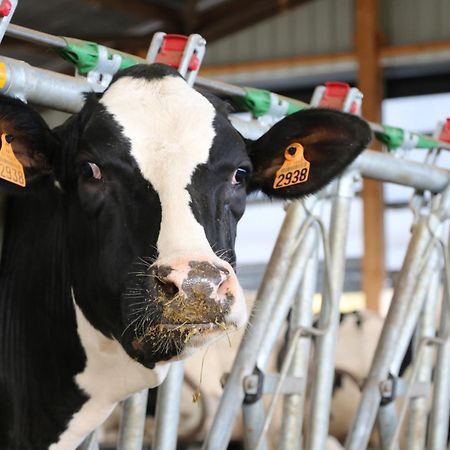 Le Thuit - F2 Plain Pied Tout Equipe A La Ferme Charleval  Eksteriør bilde