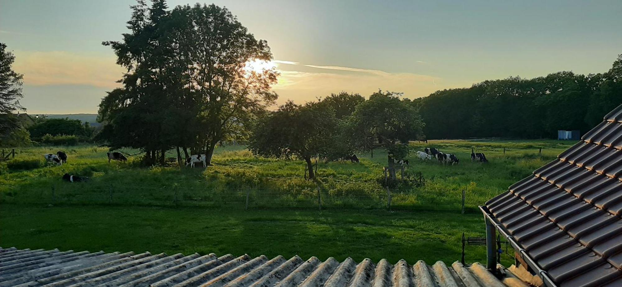 Le Thuit - F2 Plain Pied Tout Equipe A La Ferme Charleval  Eksteriør bilde