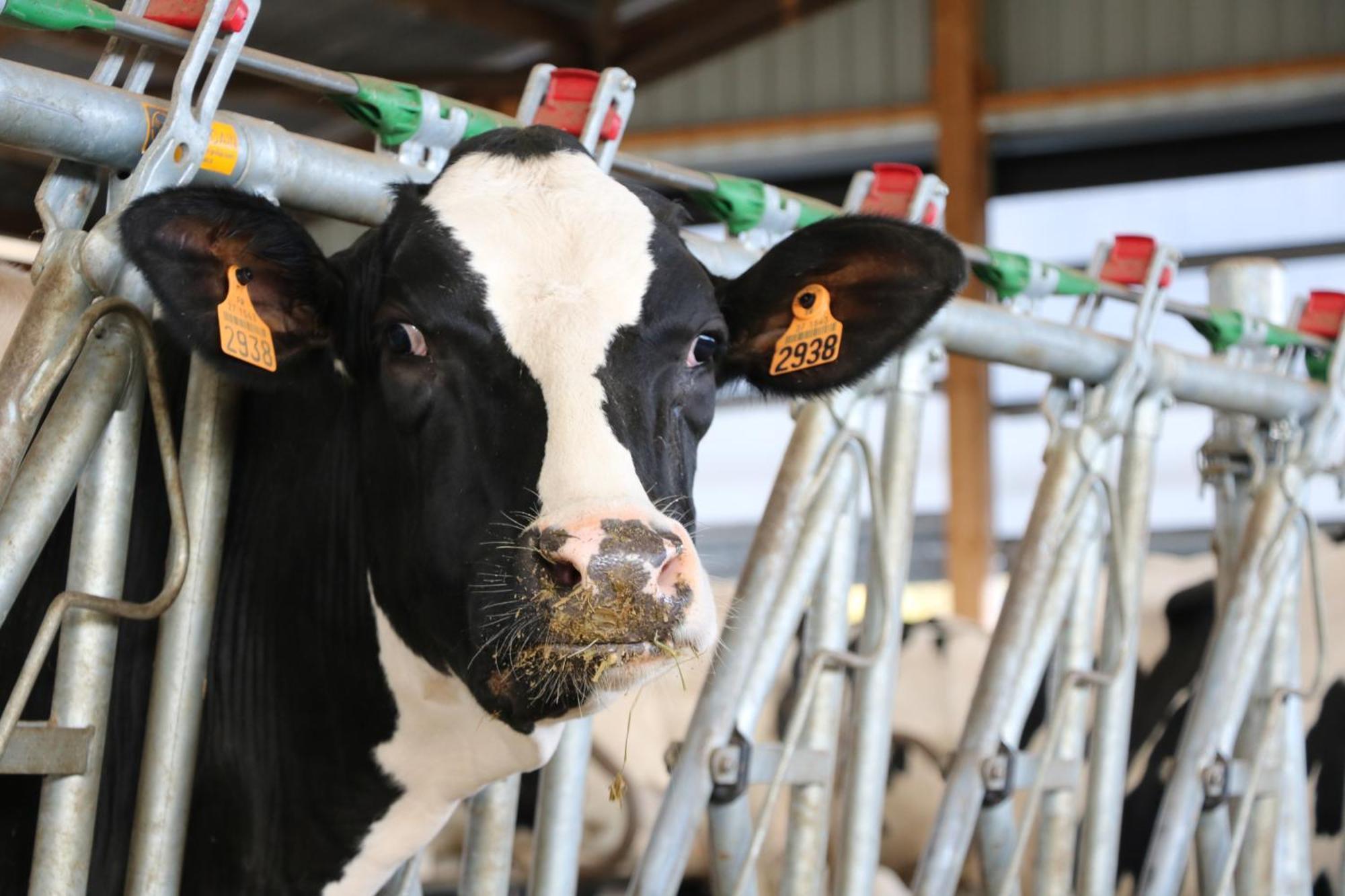 Le Thuit - F2 Plain Pied Tout Equipe A La Ferme Charleval  Eksteriør bilde